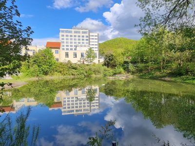 Hotel mit Burgsee