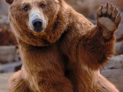 Tierpark Thale