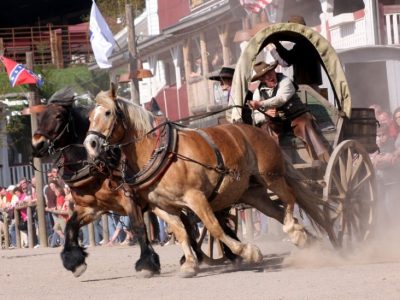 Pullman City Harz